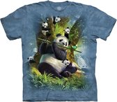 KIDS T-shirt Pan Da Bear Panda KIDS XL