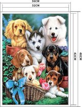 Borduurpakket voorbedrukt honden - puppies 46x36 cm