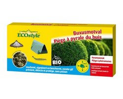 Buxusmotval