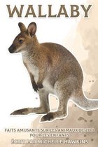 Wallaby