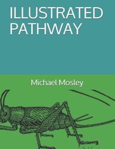 Illustrated Pathway
