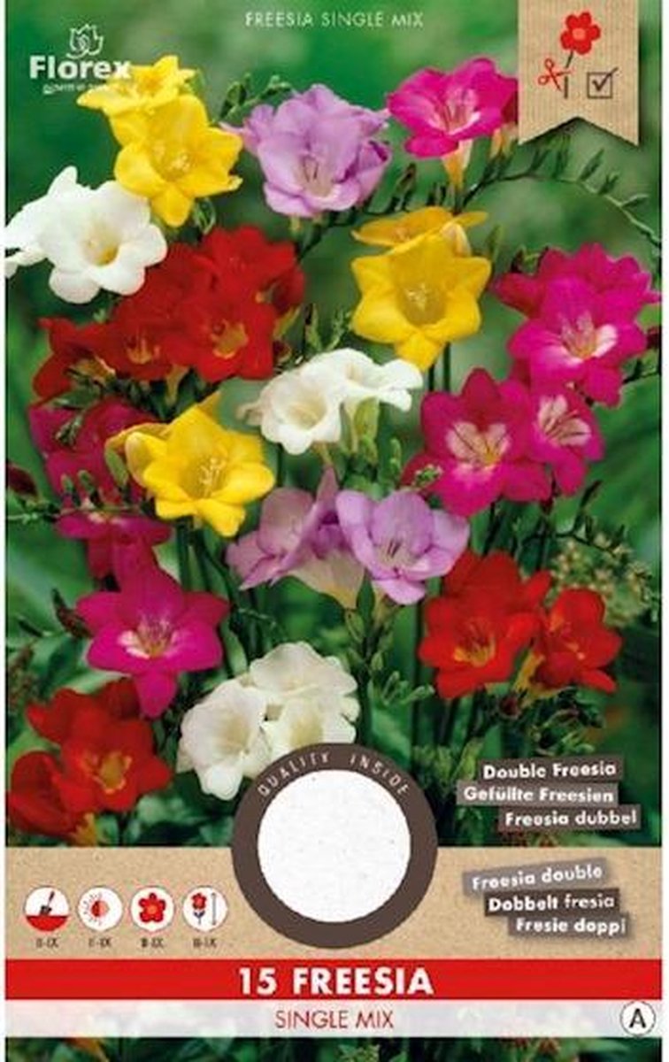 Florex Freesia Enkel Mix 5/6 15 st. (20) 976.73