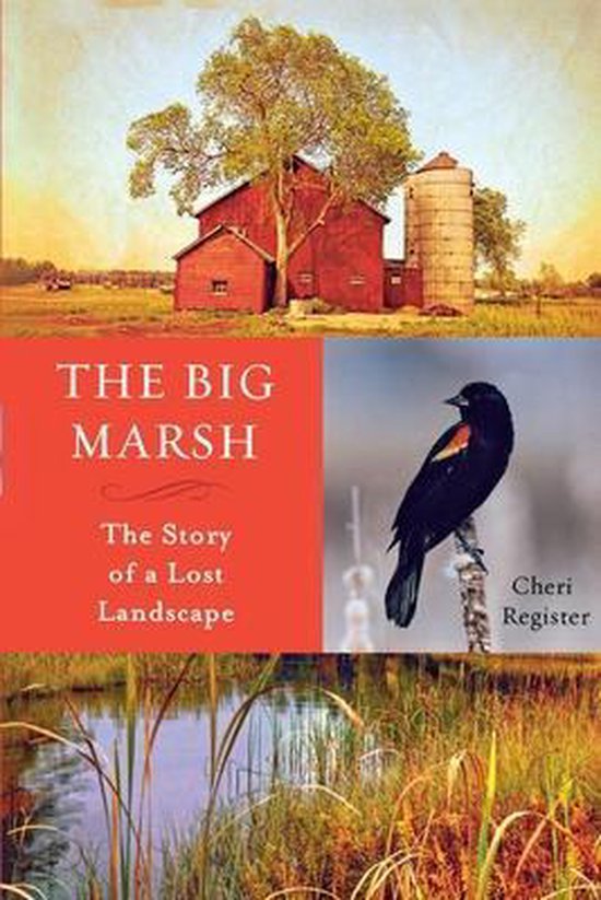 The Big Marsh - cover