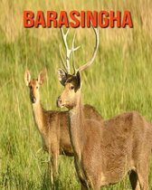 Barasingha