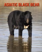Asiatic Black Bear