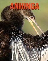 Anhinga