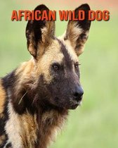 African Wild Dog