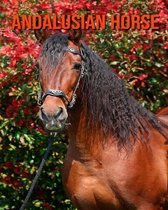 Andalusian Horse