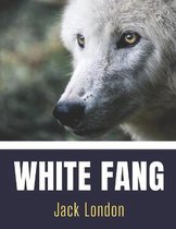 White Fang