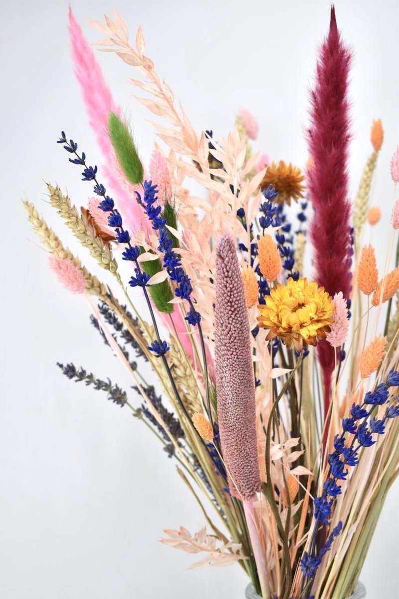 Droogbloemen - boeket 40 cm - Mixed Colors - Natuurlijk Bloemen