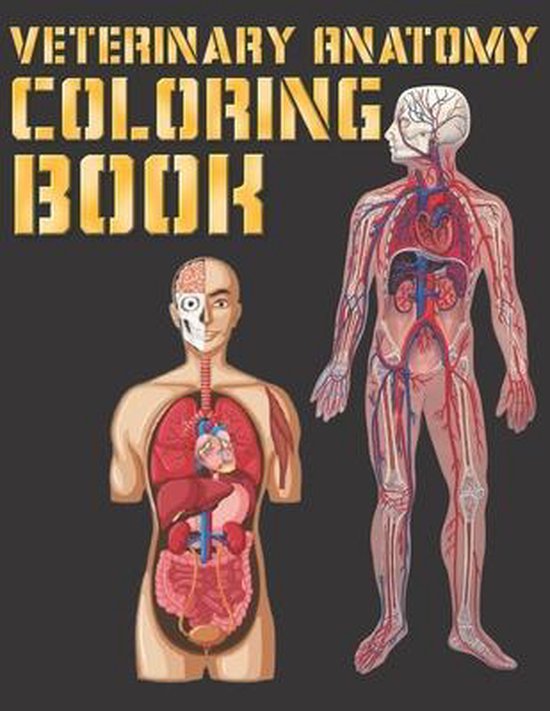 veterinary anatomy coloring book Netter's Anatomy and Physiology