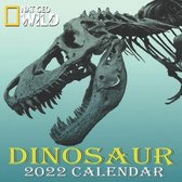 Dinosaur Calendar 2022