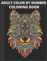 Adult Color By Number Coloring Book