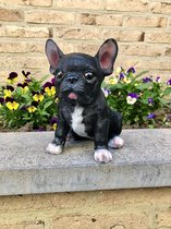 Hond - puppy - Franse Buldog - zwart & wit - polyester -polystone - beeld - tuinbeeld - hoogkwalitatieve kunststof - decoratiefiguur interieur - accessoire - voor binnen - cadeau - geschenk