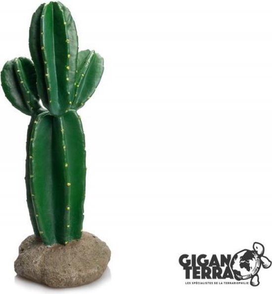 Giganterra Decoratie cactus 15x14.5x33