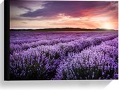 Canvas  - Paars Lavendel Veld  - 40x30cm Foto op Canvas Schilderij (Wanddecoratie op Canvas)