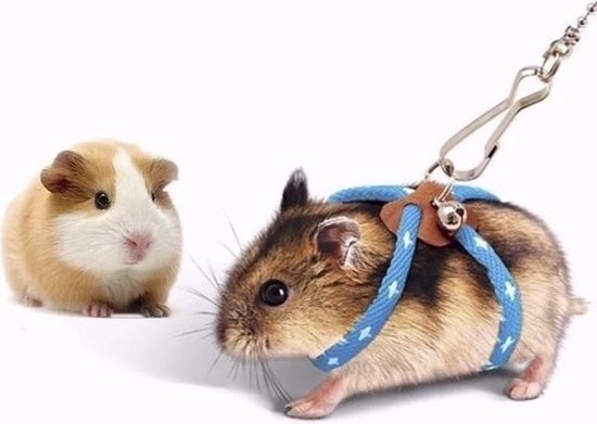 Blauw - Verstelbare Tuigje Trixie voor je kleine hamster - muis -... | bol.com