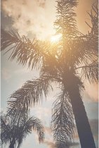 Canvas Schilderij Palm