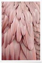 JUNIQE - Poster Pastel Feathers -30x45 /Roze
