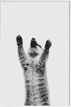 JUNIQE - Poster met kunststof lijst Meerkat II -60x90 /Grijs & Zwart