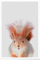 JUNIQE - Poster Red Squirrel -20x30 /Grijs & Oranje
