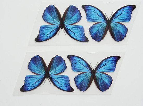 Valkuilen schaal overeenkomst Transfer sticker - Vlinder sticker - Vlinder transfer sticker - Blauwe vlinder  sticker... | bol.com
