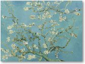 Amandelbloesem - Vincent van Gogh - 40x30 Canvas Liggend - Meesterwerken - Natuur - Bloemen - Vincent van Gogh