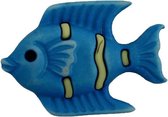 Knoop tropische vis blauw, 2.3 cm x 1.6 cm, 1 stuk