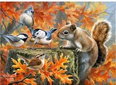 Schilderen op nummer: natuur: vogels en eekhoorn/40x50cm