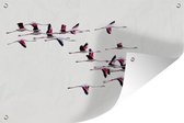 Tuinposter - Tuindoek - Tuinposters buiten - Een zwerm flamingo's vliegt door de lucht - 120x80 cm - Tuin