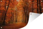 Tuinposter - Tuindoek - Tuinposters buiten - Een bos met herfstachtige kleuren - 120x80 cm - Tuin