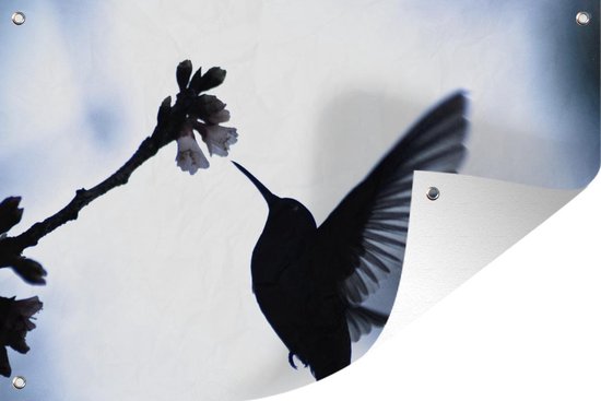 Ornement Solaire Réaliste Colibri Solaire Décoratif Pour Jardin - Oiseau Flottant Réaliste à énergie Solaire Colibri Volant