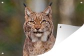 Affiche de jardin Lynx (2) - Un lynx regarde directement la caméra dans le jardin poster toile en vrac 60x40 cm - Toile de jardin / Toile d'extérieur / Peintures pour l'extérieur (décoration de jardin)