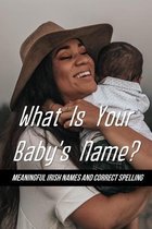 What Is Your Baby's Name?: Meaningful Irish Names And Correct Spelling