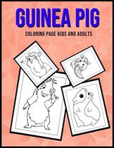Guinea Pig Coloring Page Kids and Adults