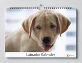 Labrador verjaardagskalender | Labradors wandkalender | Verjaardagskalender 35x24 cm | Verjaardagskalender Volwassenen