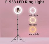 Save Steve Sterke Ringlamp Met Statief1.80cm- 3 Lichtkleuren - Voor smartphone-USB 10 inch- LED LICHT -Tiktok Ringlamp- 100-240V -  - 360 graden draaibaar - Telefoonhouder