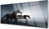 Glasschilderij Rennende paarden| 4 mm veiligheidsglas | 125 x 50 cm | Blind ophangsysteem | Glazen schilderijen