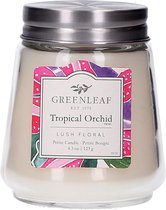 Greenleaf Geurkaars Tropical Orchid 8 Cm Wax/glas Wit