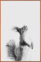 JUNIQE - Poster met kunststof lijst Red Squirrel III -13x18 /Grijs