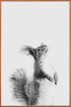 JUNIQE - Poster met kunststof lijst Red Squirrel III -40x60 /Grijs