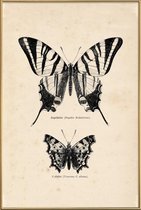 JUNIQE - Poster met kunststof lijst Butterfly Engraving -13x18 /Bruin