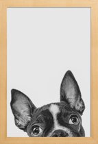 JUNIQE - Poster in houten lijst French Bulldog II -30x45 /Grijs &