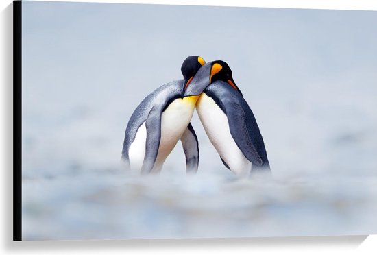 Canvas  - Knuffelende Pinguïns  - 90x60cm Foto op Canvas Schilderij (Wanddecoratie op Canvas)