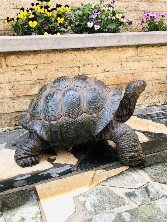 Sculpture tortue de tortue, décoration de jardin, terrasse, pelouse, cour,  décoration extérieure en résine, 21,8 cm, couleur
