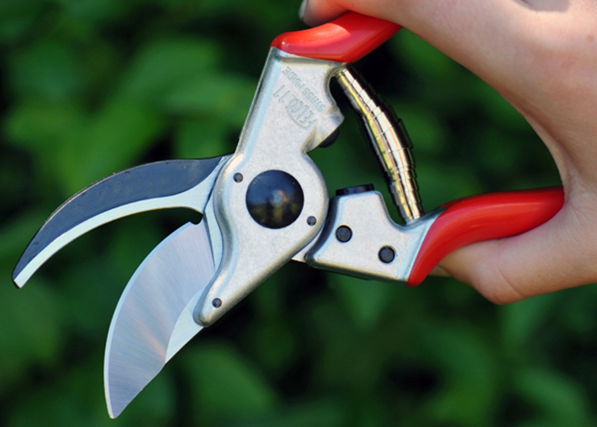 Felco 11 Sécateur - 25mm