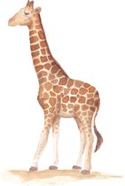 Giraf muursticker babykamer | Grote muursticker giraf 88x55cm | Maak een safari kinderkamer