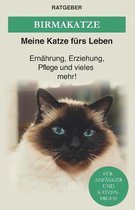 Birma Katze