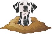 GoedeDoelen.Shop | 3D sticker Dalmatiër | Sticker voor Auto, Laptop , Muur, Koelkast | Hond | Dalmatiër | Adopt Don't Shop | Weerbestendig