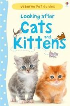 Looking After Cats & Kittens